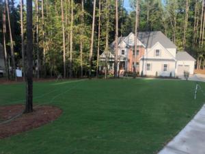 front yard