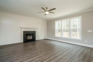 009  Living Room (1)
