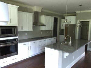 Gourmet Kitchen with island